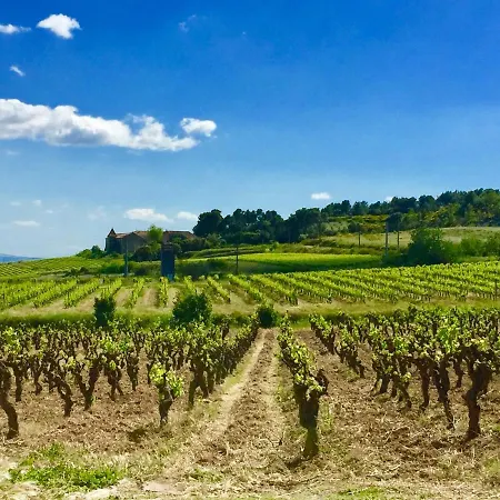 Domaine De Delfi Villa Quarante